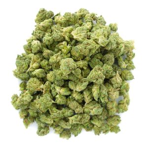 ZAZA - Elmer's Glue - Littles - 14 Grams - Hybrid