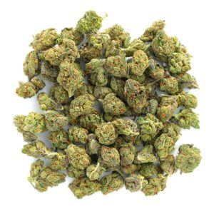 ZAZA - Gary Payton - Littles - 14 Grams - Hybrid