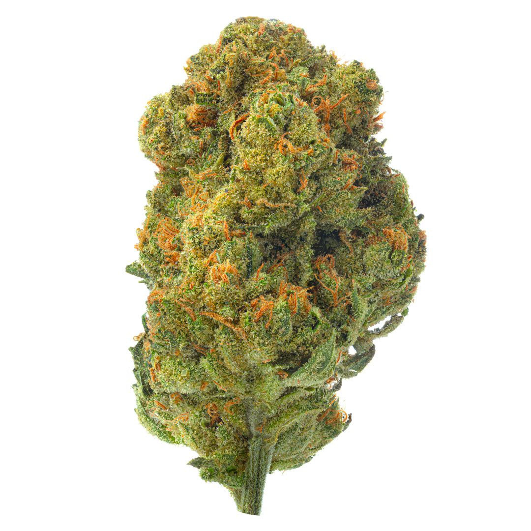 ZAZA - SFV OG - Indoor - 28 Grams - Indica