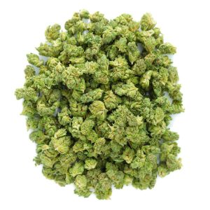 ZAZA - Elmer's Glue - Littles - 28 Grams - Hybrid