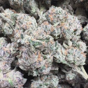 Elite Boutique Exotic Don Murfos LCG - Bulk - Hybrid
