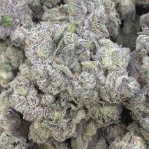 Elite Boutique Exotic Bolo Runtz - Bulk - Indica