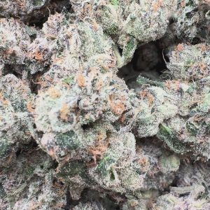 Elite Boutique Exotic Dark Matter - Bulk - Hybrid