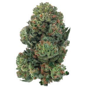 ZAZA - Platinum OG - 28 Grams - Indica