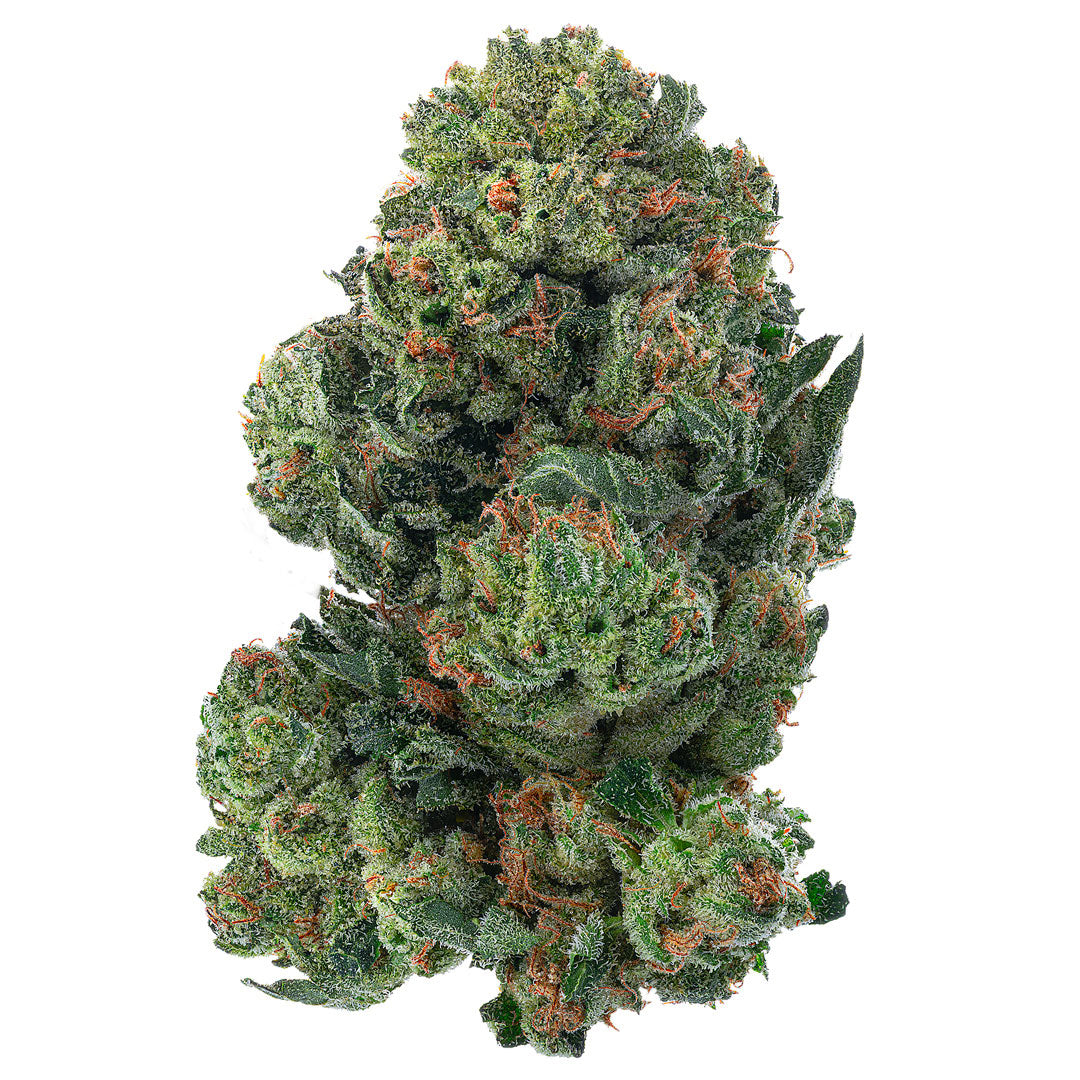 ZAZA - Platinum OG - 28 Grams - Indica