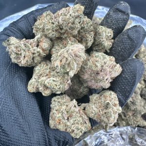 Biscotti THCA Flower (Budget)