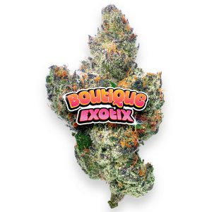 Boutique Exotics Lemon Dior - 4 Grams - Hybrid