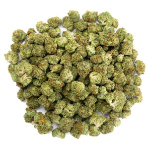 ZAZA - Gelato 41 - 28 Grams - Hybrid