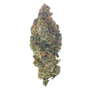 ZAZA - Gusher Mintz - 28 Grams - Hybrid