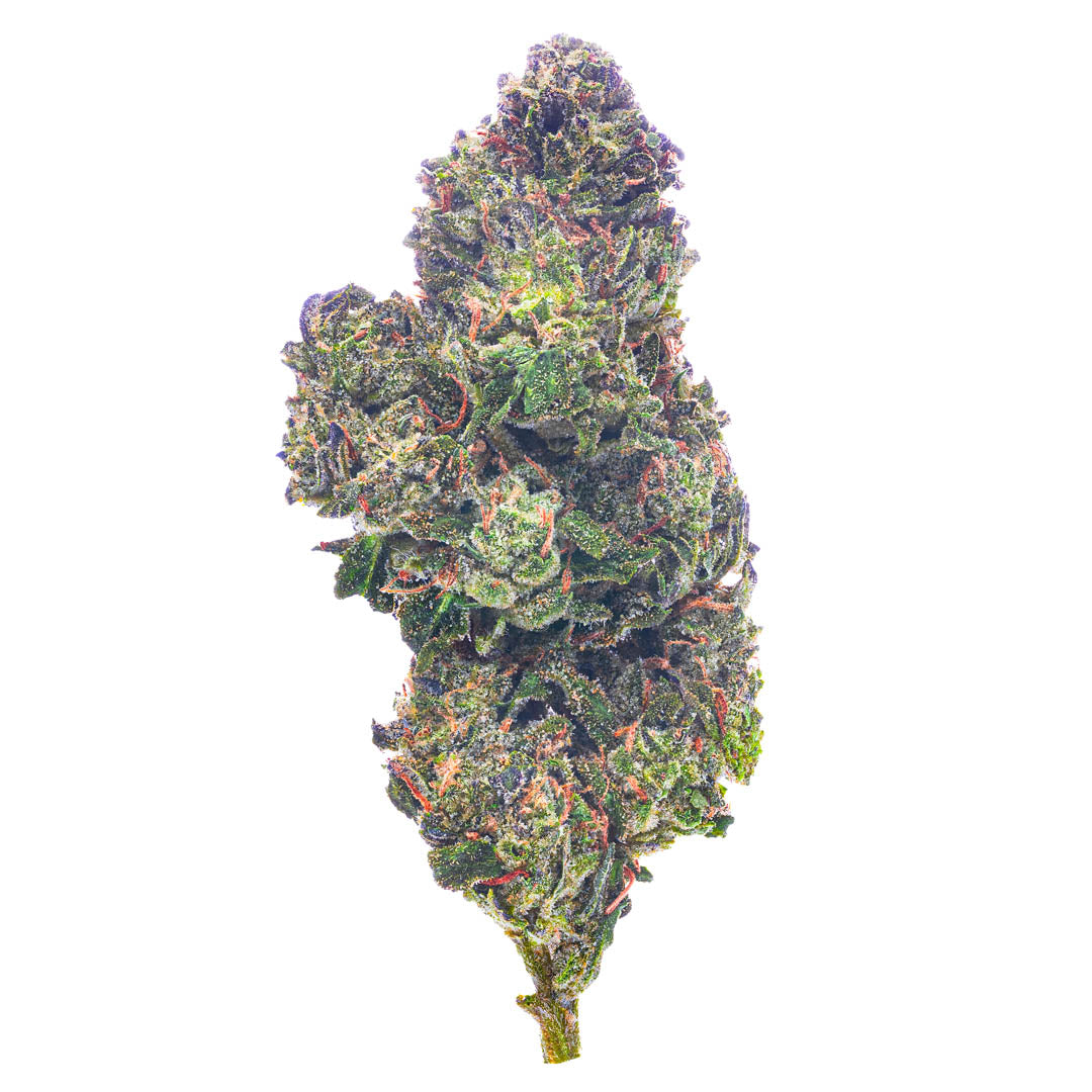 ZAZA - Hashburger - 14 Grams - Indica
