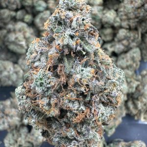 Headband THCA Flower (Exotic)