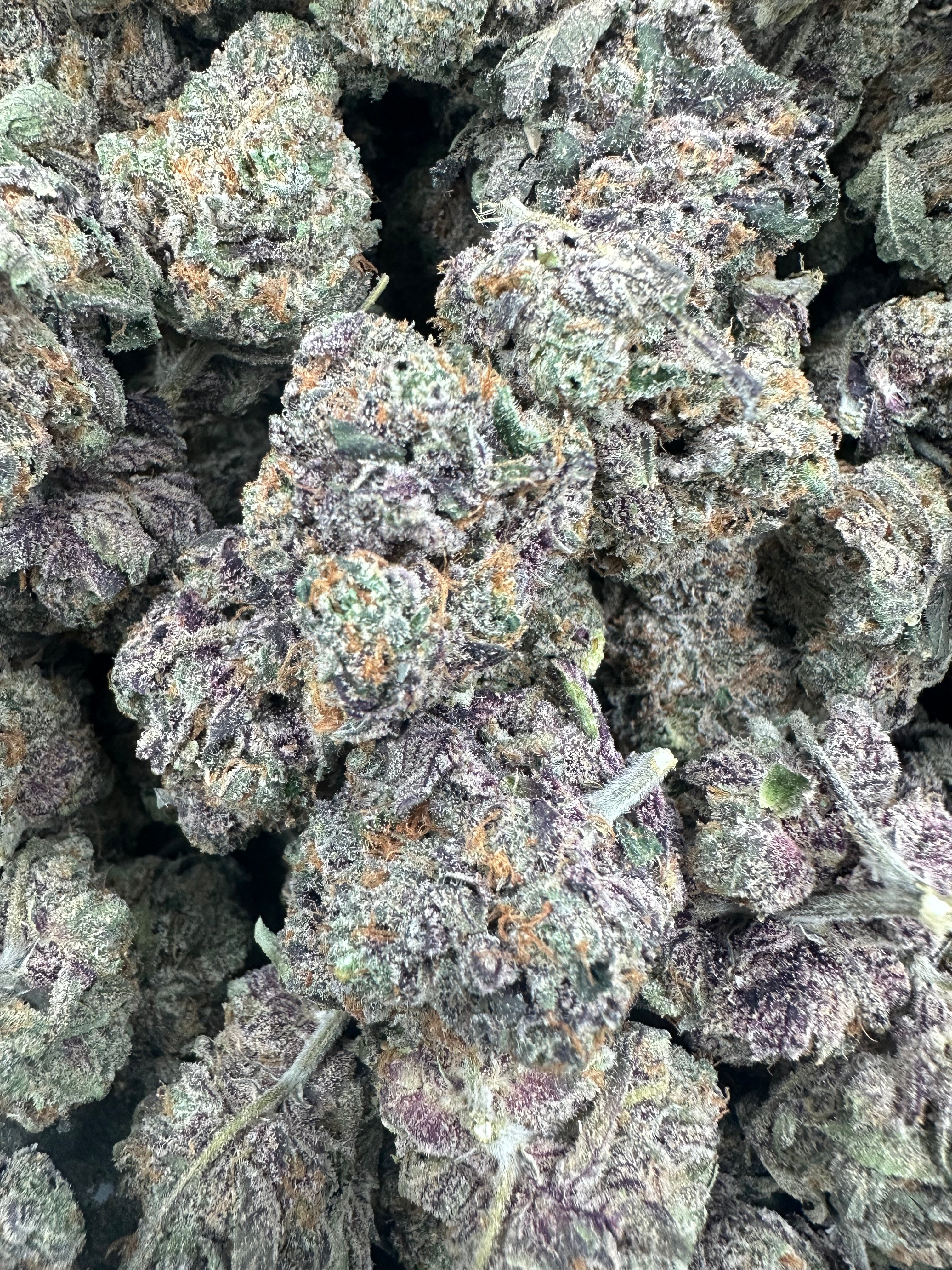 Watermelon Zkittlez THCA Flower (Exotic) - Image 6