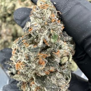 Bruce Banner THCA Flower (Premium)