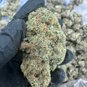 Biscotti THCA Flower (Premium)
