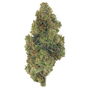 ZAZA - Jack Herer - 14 Grams - Sativa