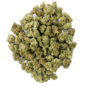 ZAZA - Jack Herrer - 14 Grams Littles - Sativa