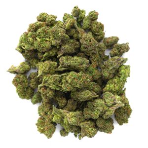 ZAZA - Lemon Cherry Gelato - 14 Grams - Hybrid