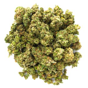 ZAZA - Northern Lights - 28 Grams - Indica