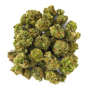 ZAZA - Rainbow Sherbet - 14 Grams - Hybrid