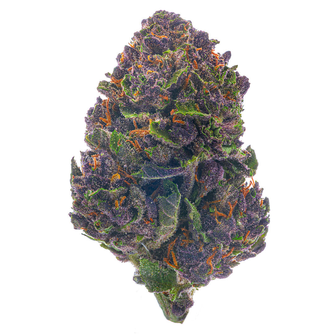 ZAZA - Trop Cherry - 14 Grams - Sativa