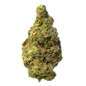 ZAZA - Biscotti Cake - 28 Grams - Hybrid