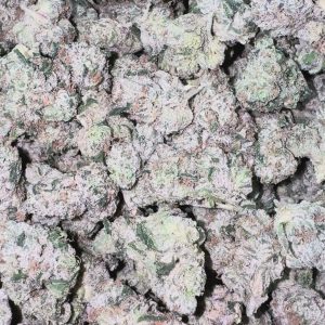 Boutique Exotics Obama Runtz - Bulk - Hybrid