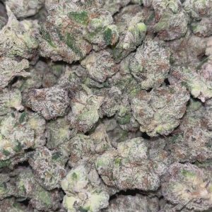 Boutique Exotics Coffin Candy - Bulk - Hybrid
