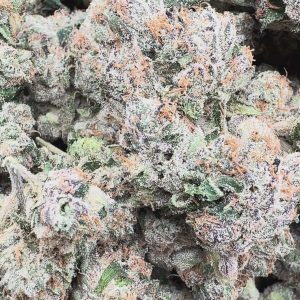 Elite Boutique Exotic Black Magic - Bulk - Indica