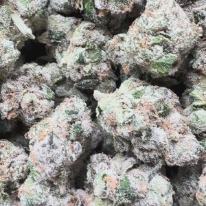 Boutique Exotics Uncle Snoop - Bulk - Hybrid