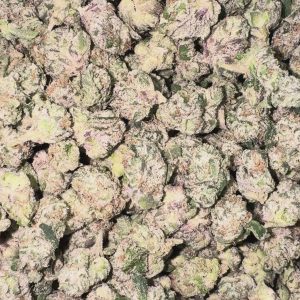 Boutique Exotics Berry Pop Littles - Bulk Littles - Hybrid