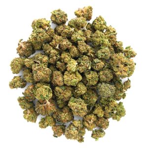 ZAZA - Gelato Kush - 28 Grams - Indica